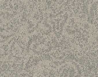 [300111150_15] Open Air 405 - 107716 Shell